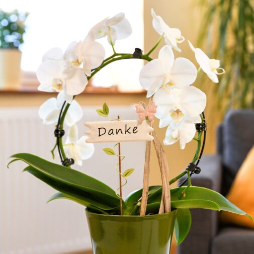 Diplom-Psychologin Sandra Jankowski